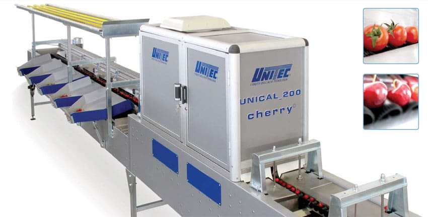 UNICAL_200 cherry mono© - Electronic sorter with high production for small fruits and sorting by size, color and defects