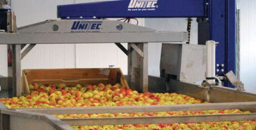 UNI_IMM 900© - robot for unloading a container filled with product into a receiving tank and placing the empty container on another pallet